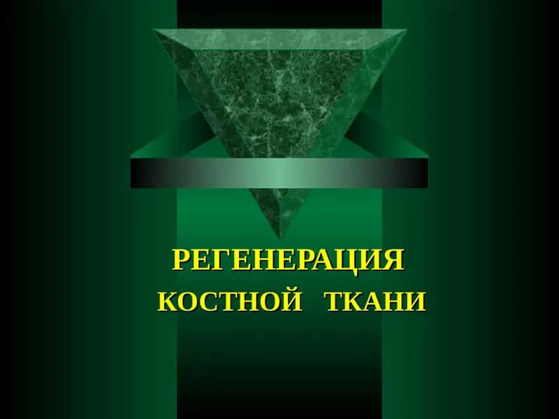 Физиологическая и репаративная регенерация костной ткани