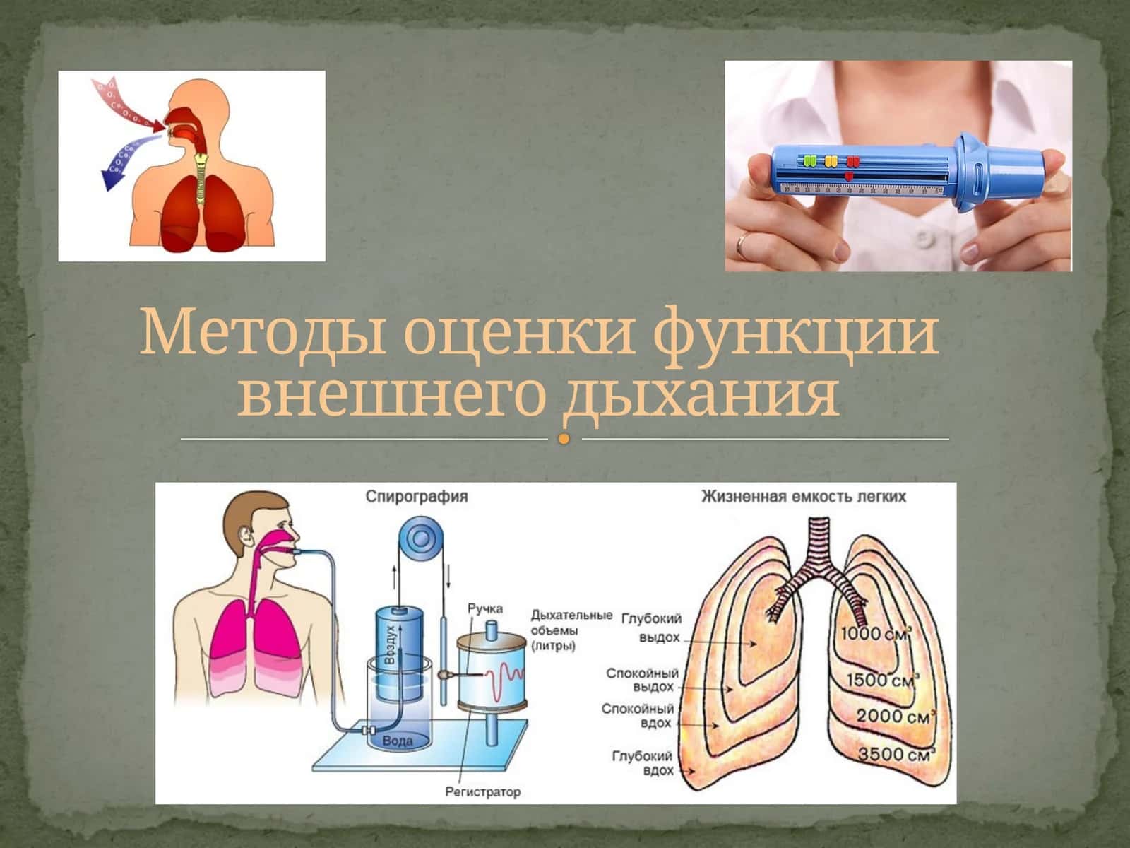 Методы оценки функции внешнего дыхания