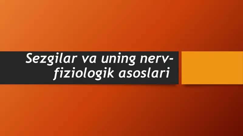 Sezgilar va uning nerv-fiziologik asoslari