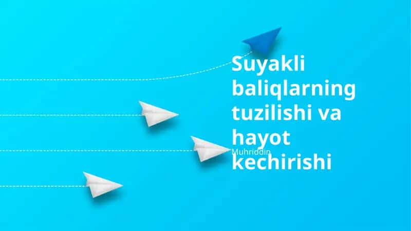 Suyakli baliqlarning tuzilishi va hayot kechirishi