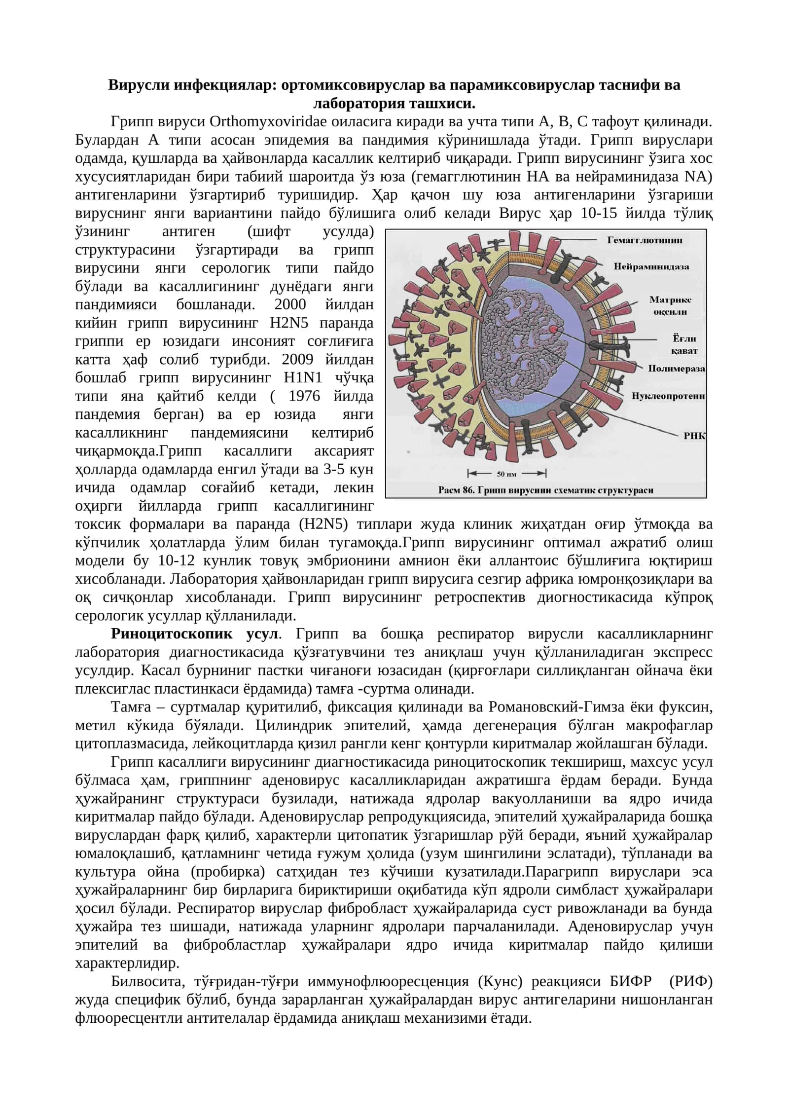 Вирусли инфекциялар: ортомиксовируслар ва парамиксовируслар таснифи ва лаборатория ташхиси