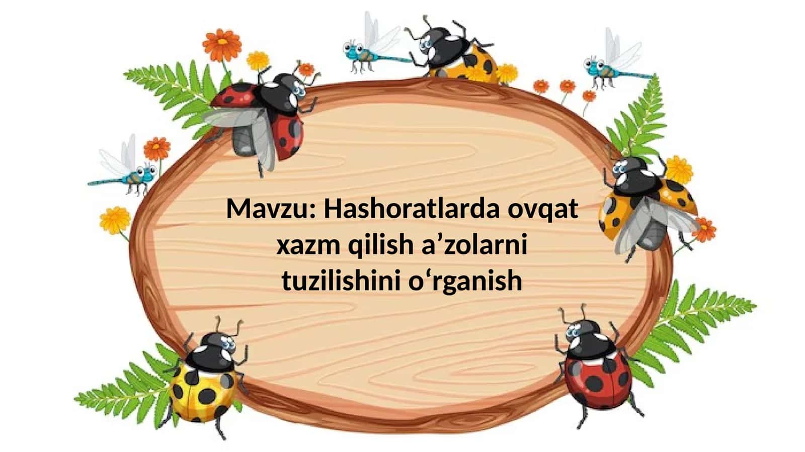 Hashoratlarda ovqat hazm qilish aniq tuzilishi
