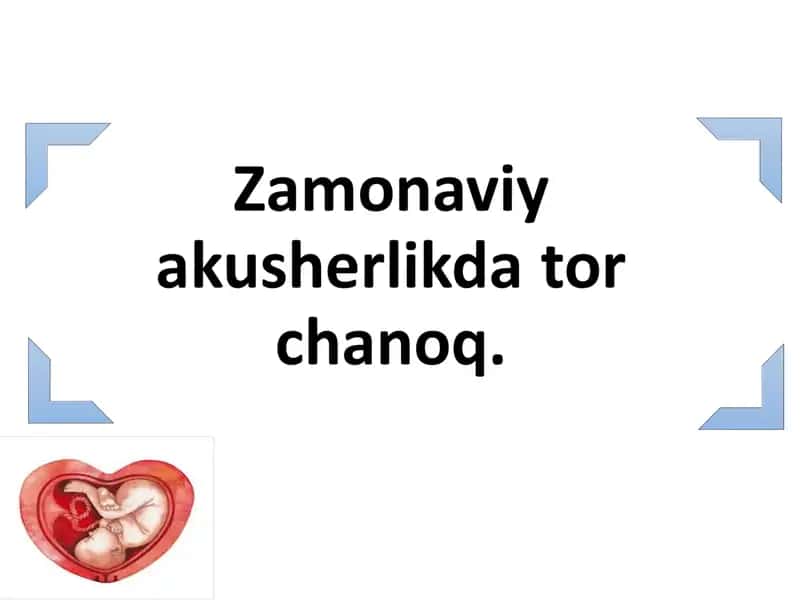 Tor chanoq anatomiyasi