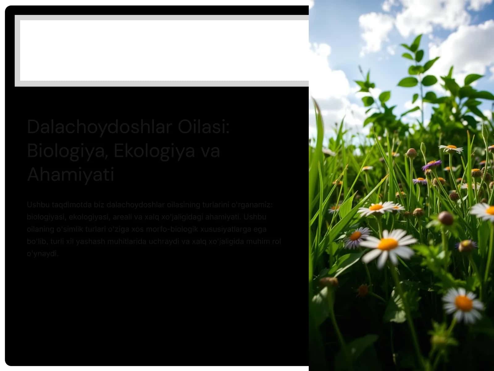 Dalachoydoshlar Oilasi: Biologiya, Ekologiya va Ahamiyati