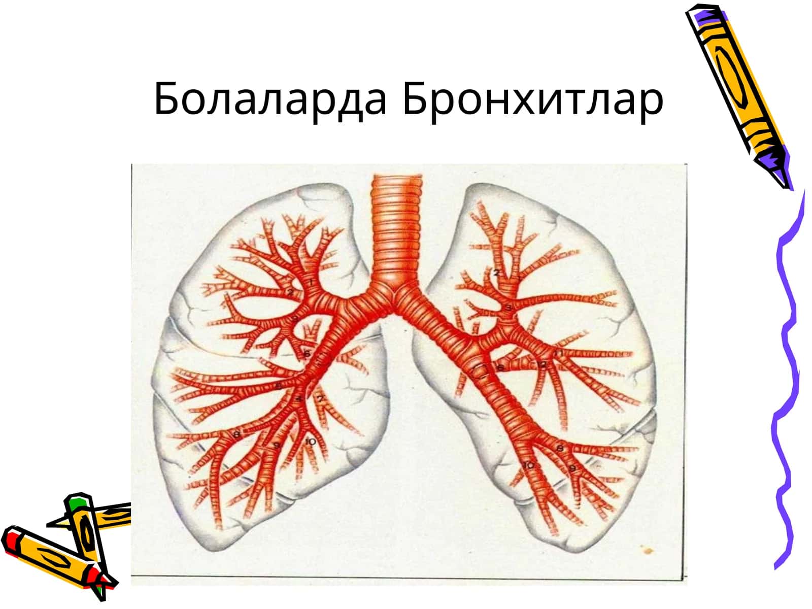 Болаларда Бронхитлар