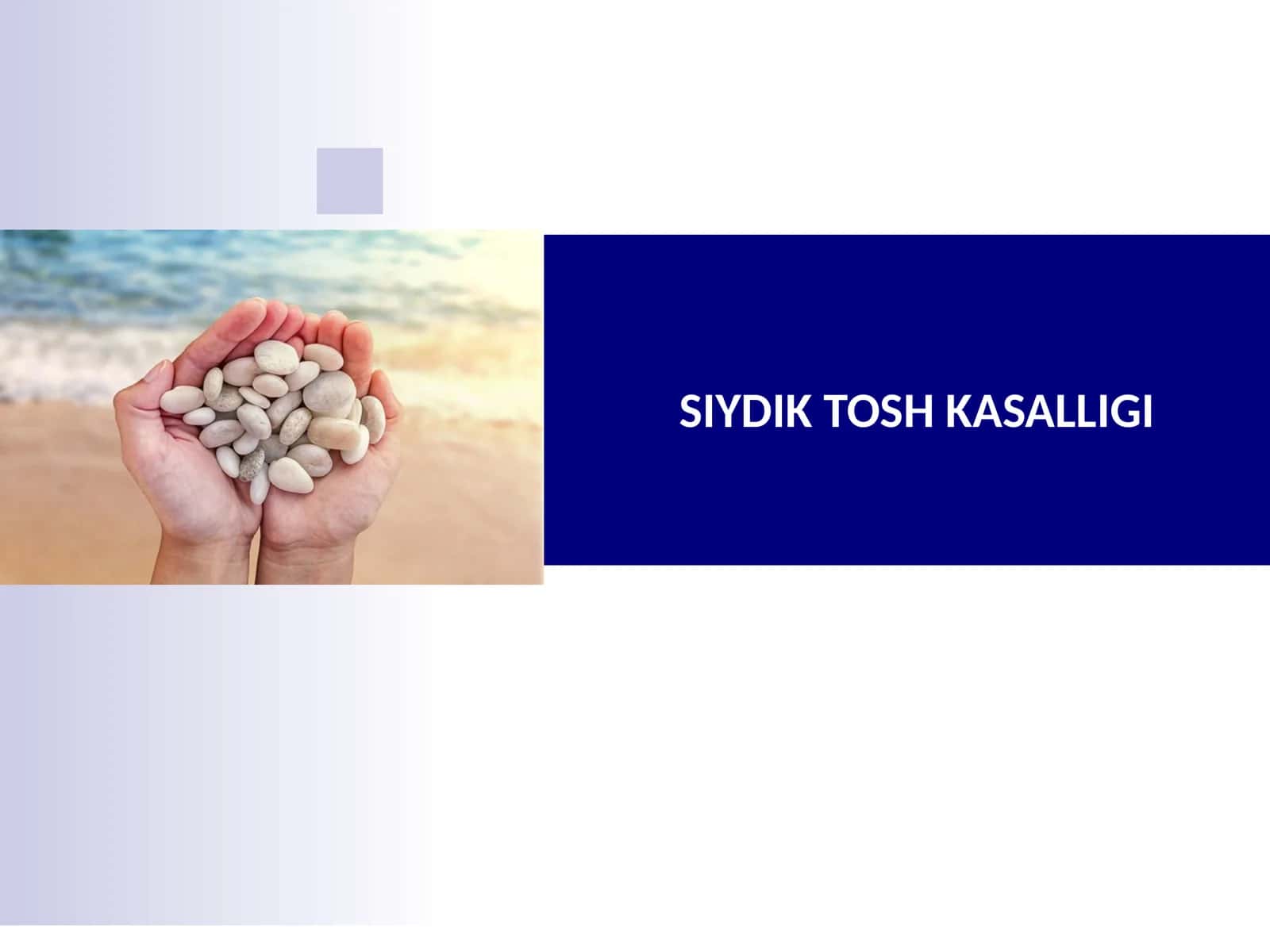 SIYDIK TOSH KASALLIGI