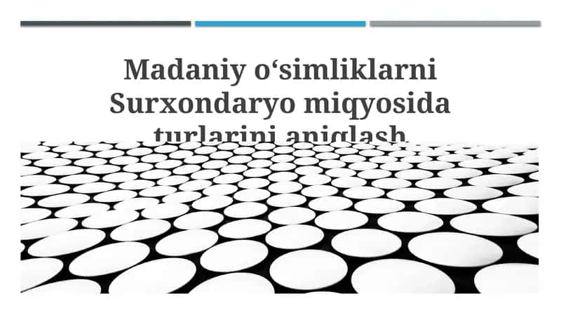Surxondaryo viloyatida o'simlik turlarini aniqlash