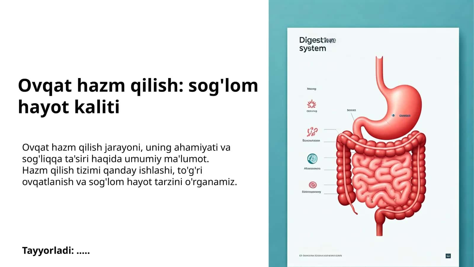 Ovqat hazm qilish: sog'lom hayot kaliti