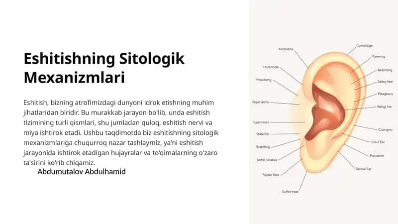 Eshitishning Sitologik Mexanizmlari