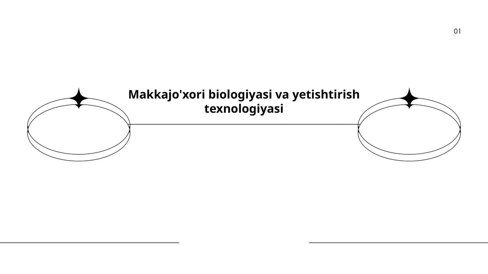 Makkajo'xori biologiyasi va yetishtirish texnologiyasi