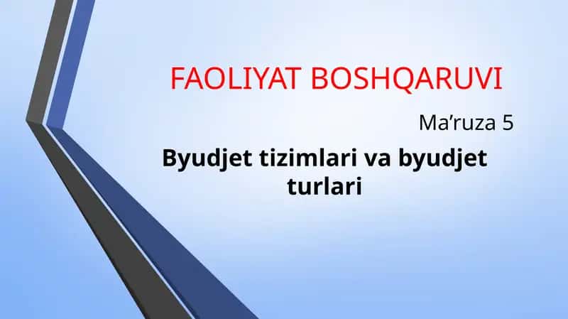 Byudjet tizimlari va byudjet turlari