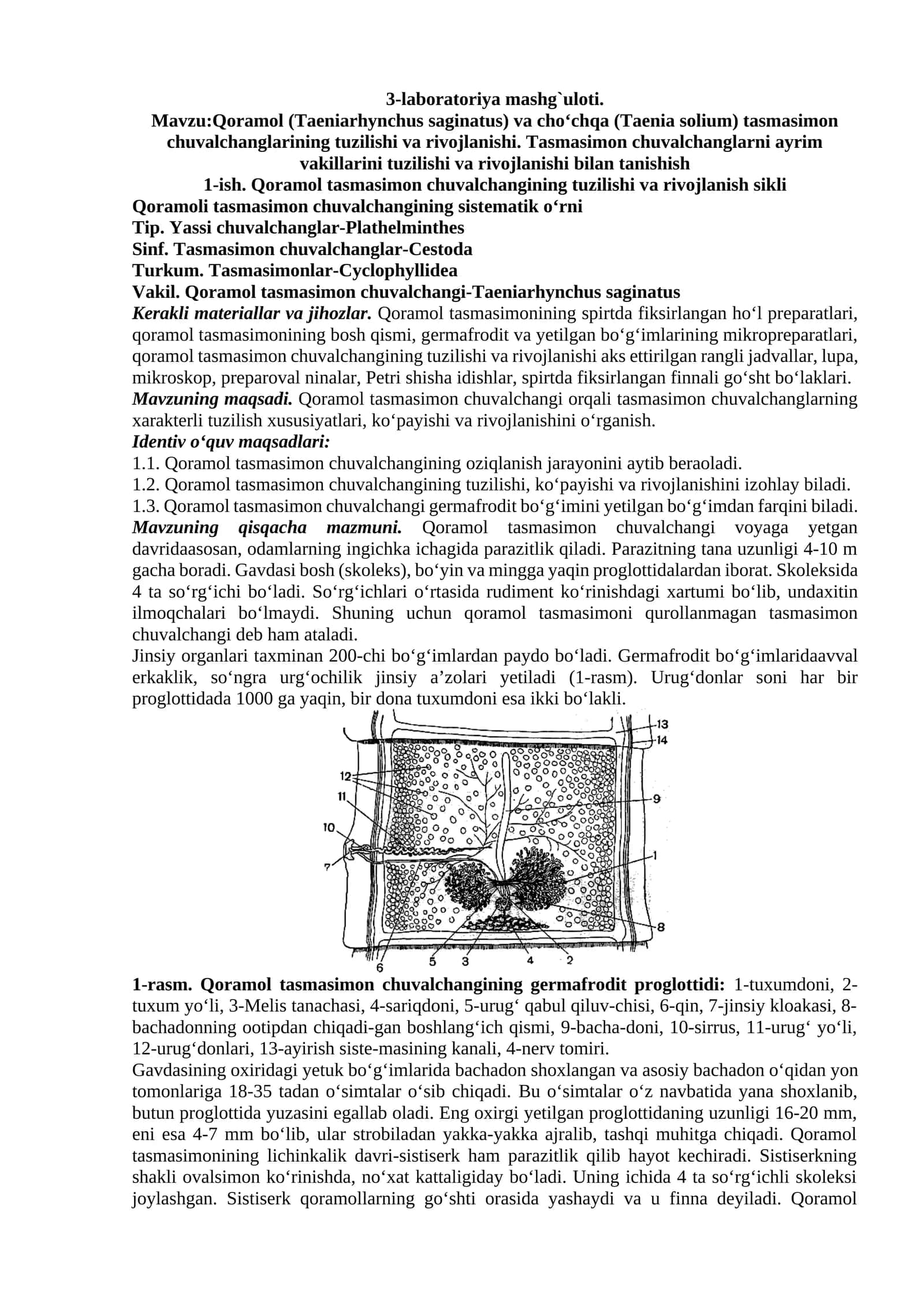 Qoramol (Taeniarhynchus saginatus) va cho'chqa (Taenia solium) tasmasimon chuvalchanglarning tuzilishi va rivojlanishi
