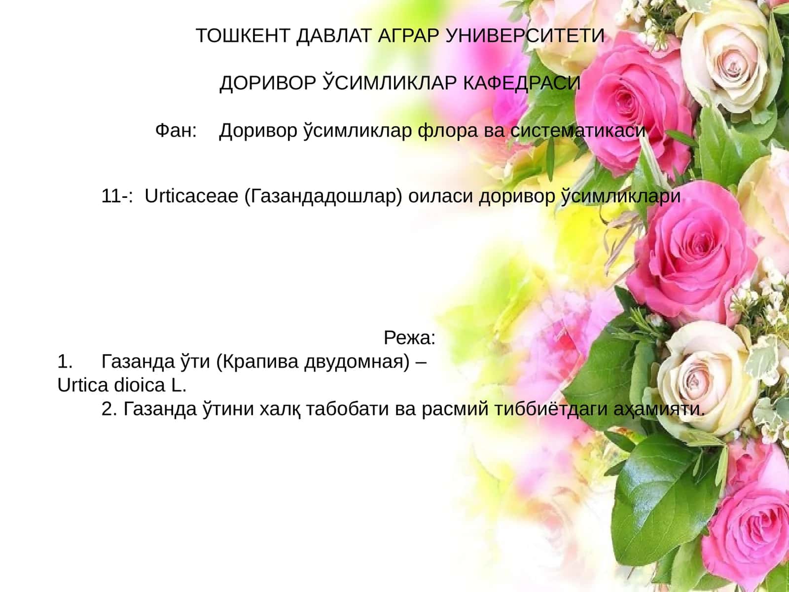 Urtica dioica (Газанда ўти)