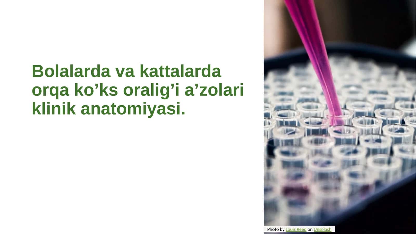 Orqa ko’ks oralig’i a’zolari klinik anatomiyasi