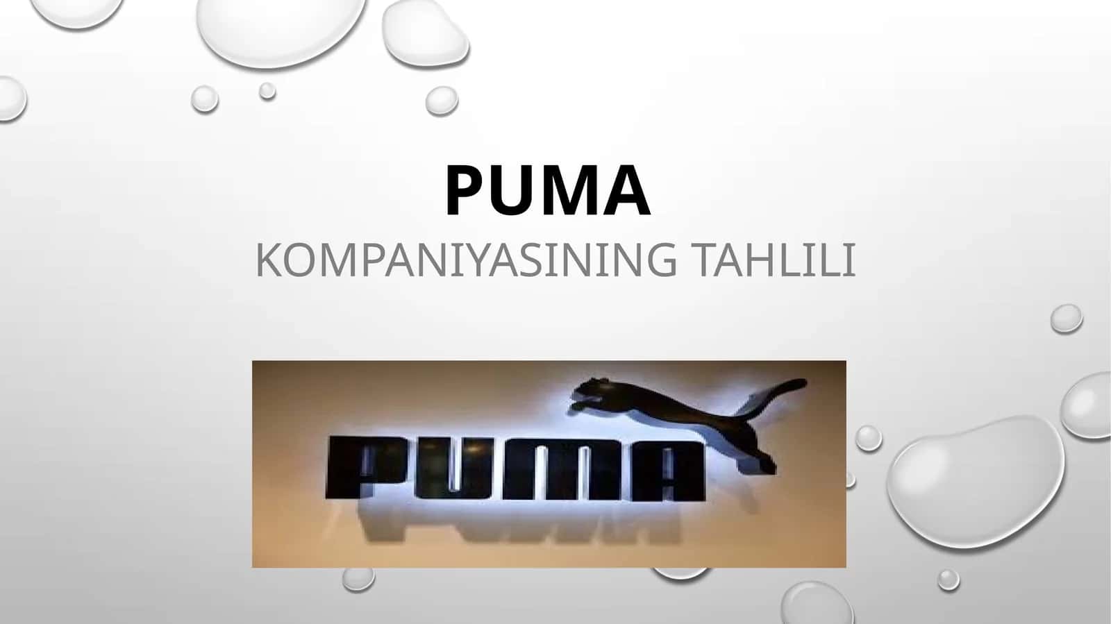 PUMA Kompaniyasining tahlili