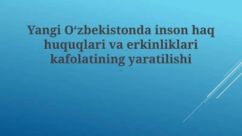 Inson haq huquqlari va erkinliklari kafolatining yaratilishi