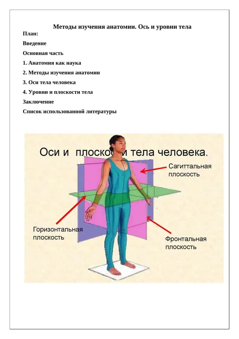 Методы изучения анатомии. Ось и уровни тела