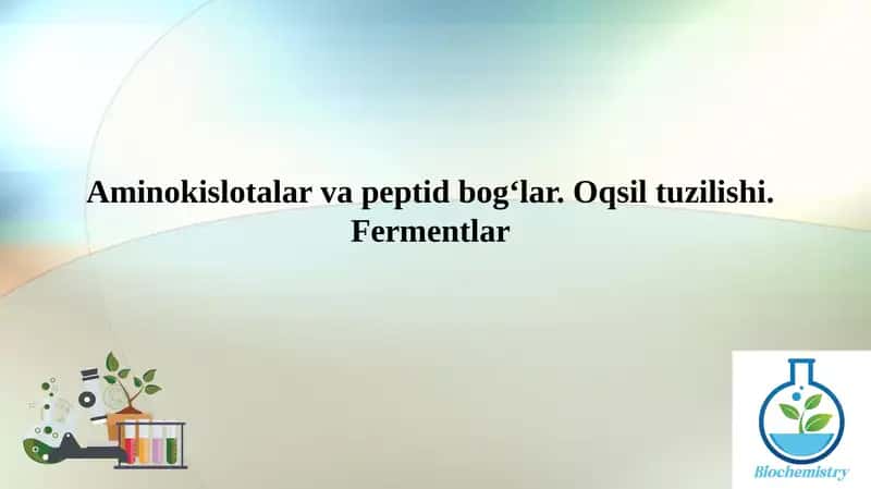 Aminokislotalar va peptid bog‘lar. Oqsil tuzilishi. Fermentlar