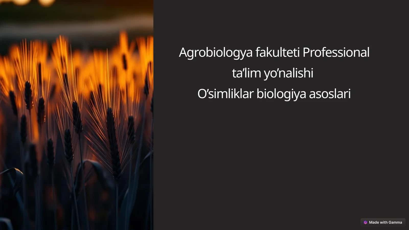 Hosilni rejalashtirishda ekish me’yorining o‘rni