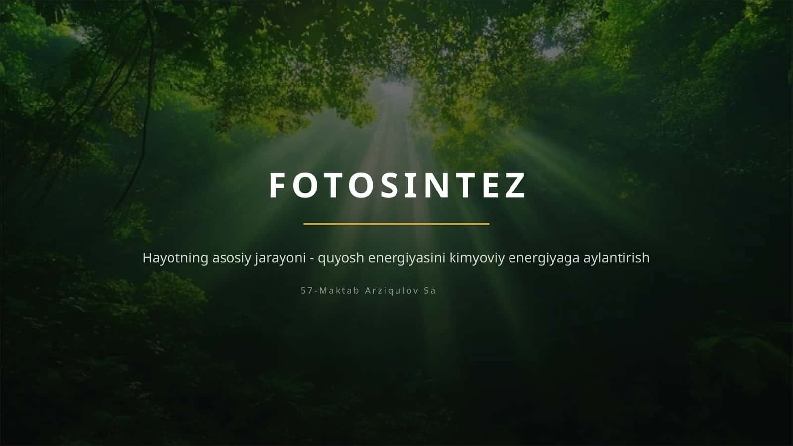 FOTOSINTEZ — TABIATNING ENG BUYUK “ZAVODI”