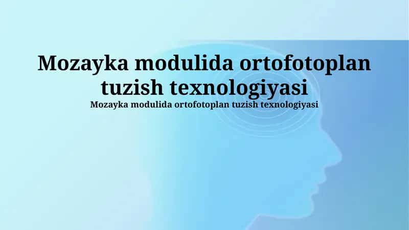Mozayka modulida ortofotoplan tuzish texnologiyasi