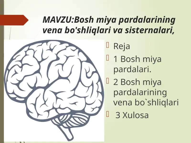 Bosh miya pardalarining vena bo'shliqlari va sisternalari