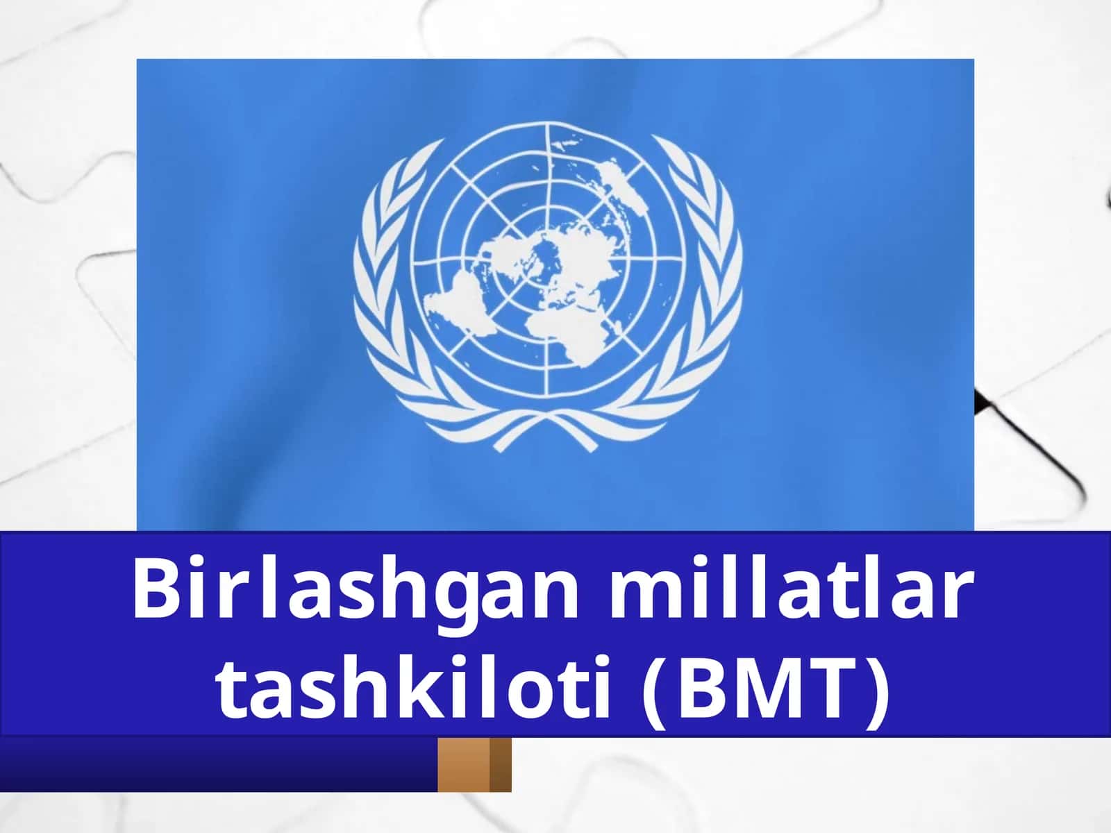 Birlashgan millatlar tashkiloti (BMT)