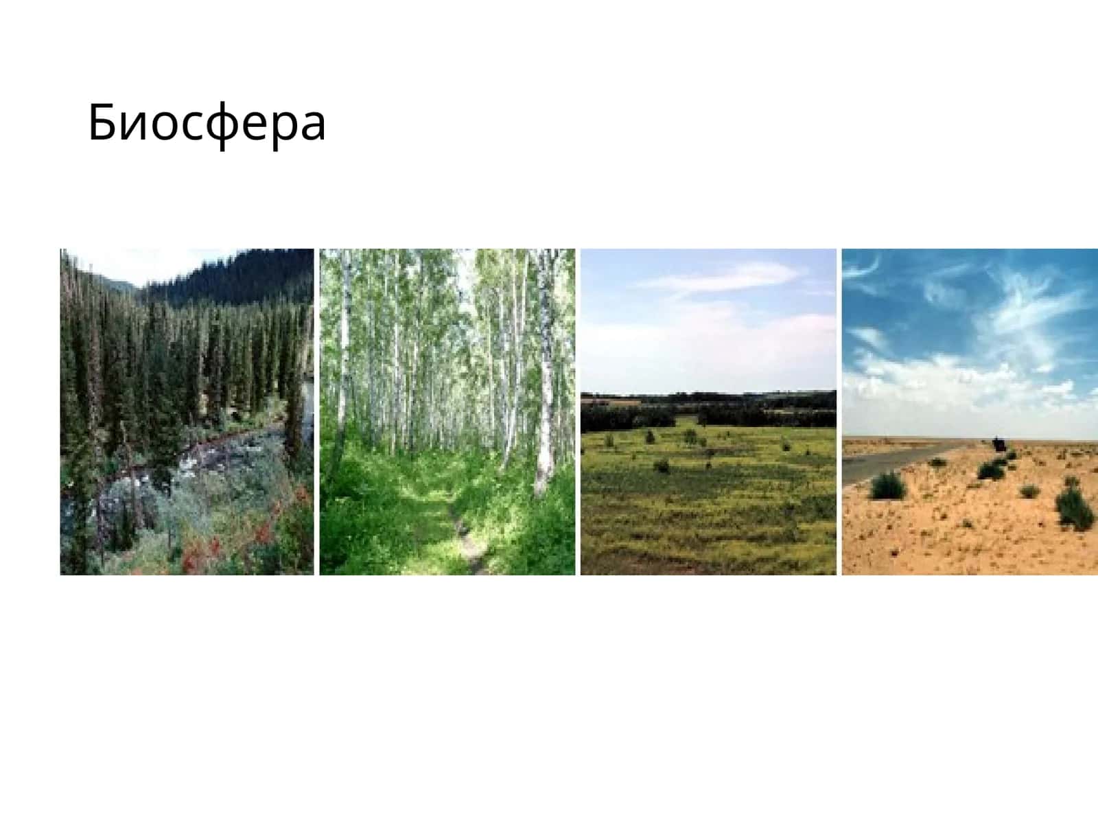 Биосфера