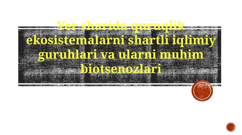 Yer Ekotizimlari