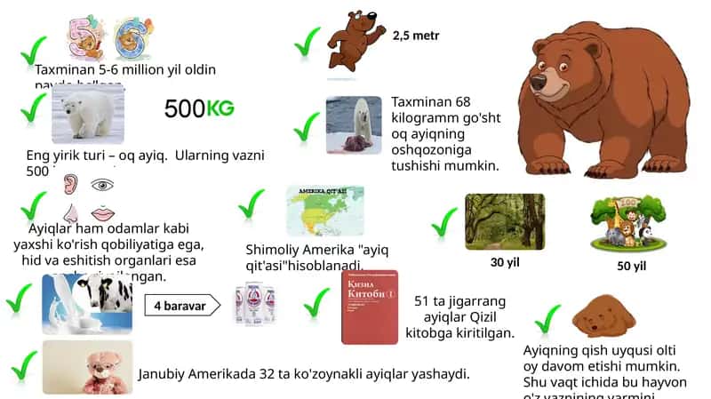 Ayiq infografika