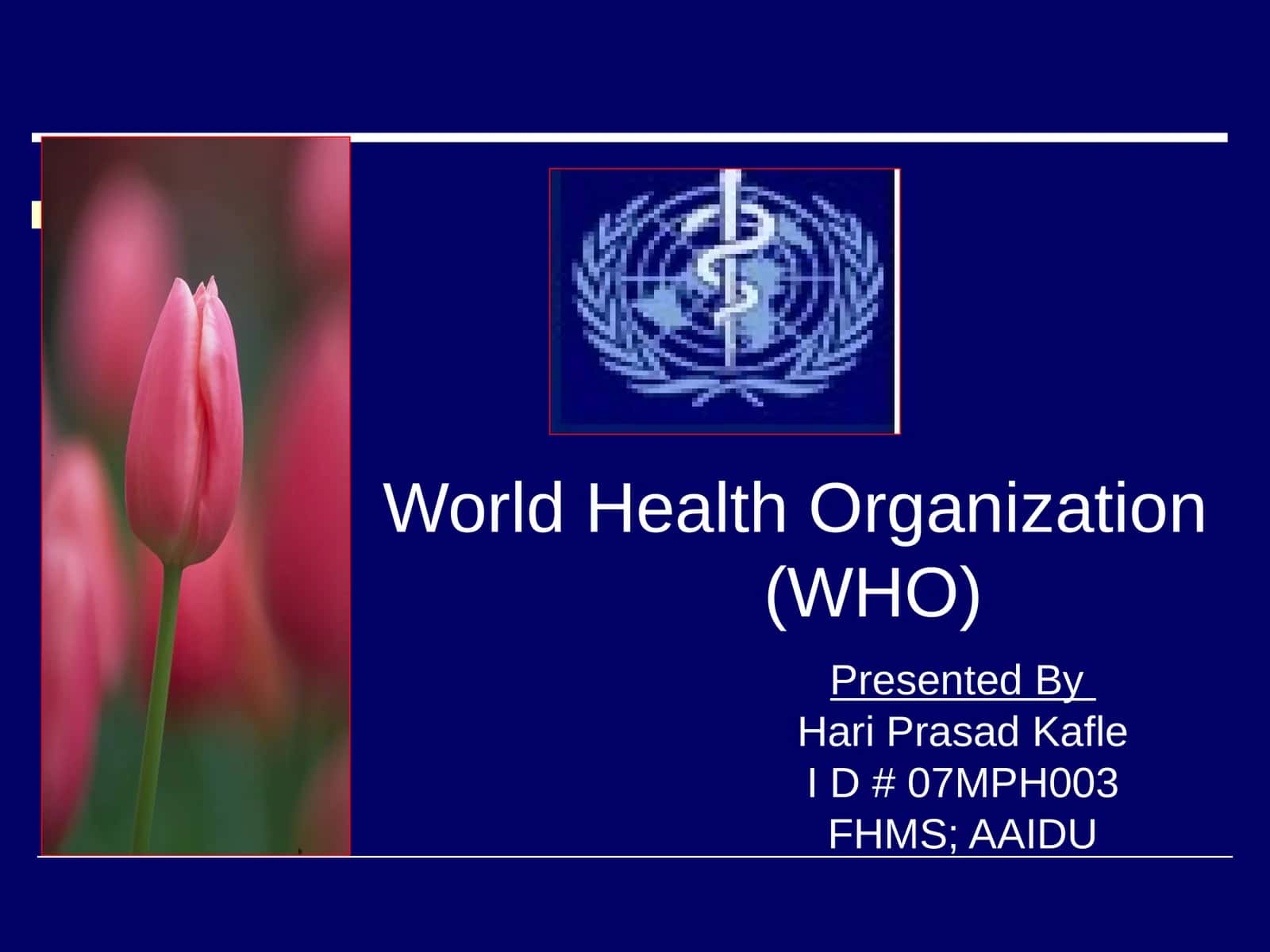 World Health Organization(WHO)