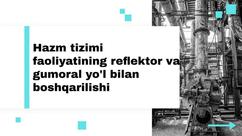 Hazmtizimifaoliyatiningreflektorvagumoralyo'lbilanboshqarilishi
