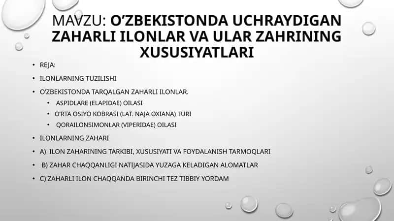 O’ZBEKISTONDA UCHRAYDIGAN ZAHARLI ILONLAR VA ULAR ZAHRINING XUSUSIYATLARI