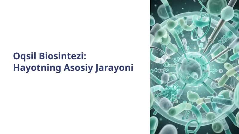 Oqsil Biosintezi: Hayotning Asosiy Jarayoni