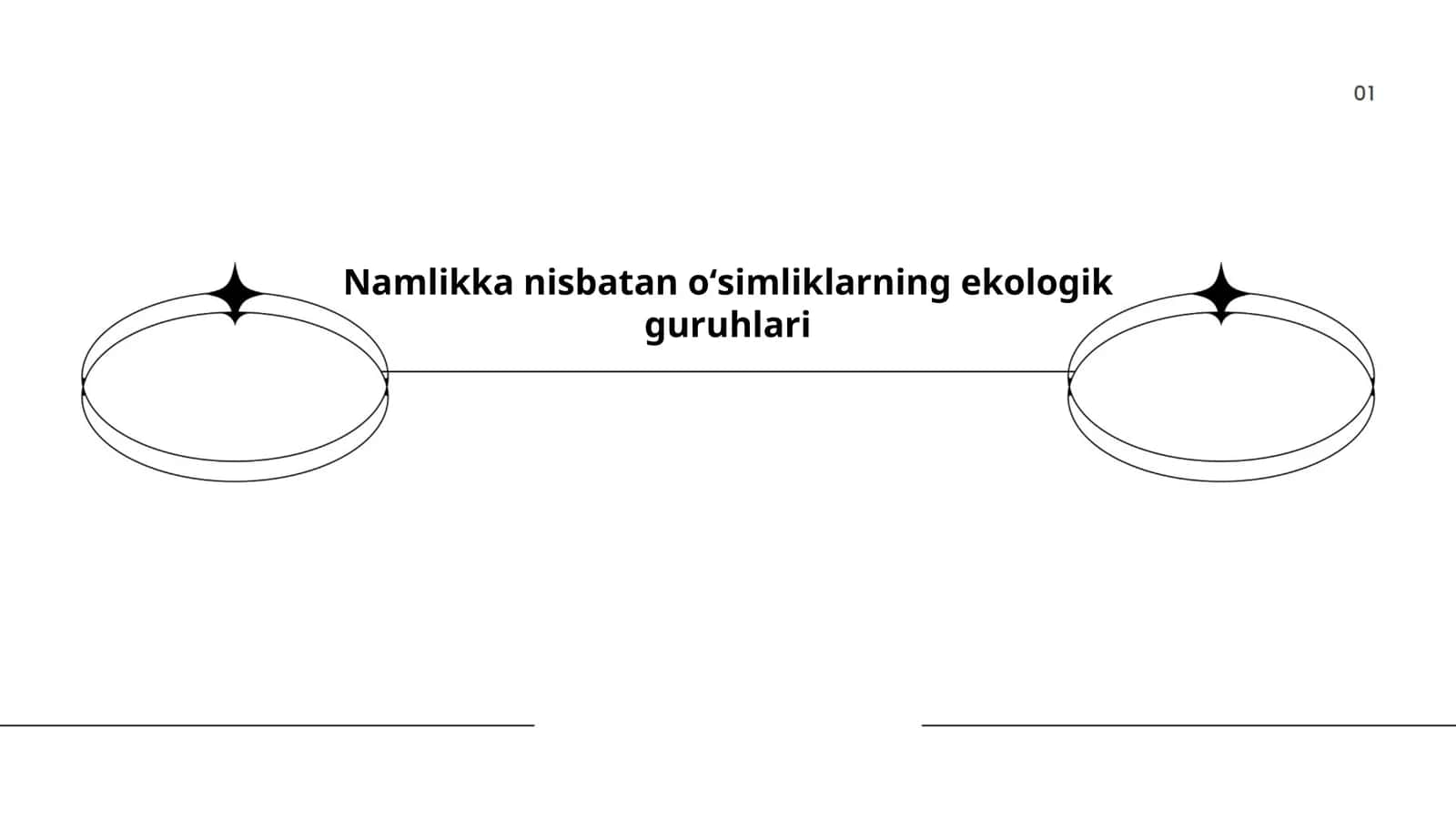 Namlikka nisbatan oʻsimliklarning ekologik guruhlari