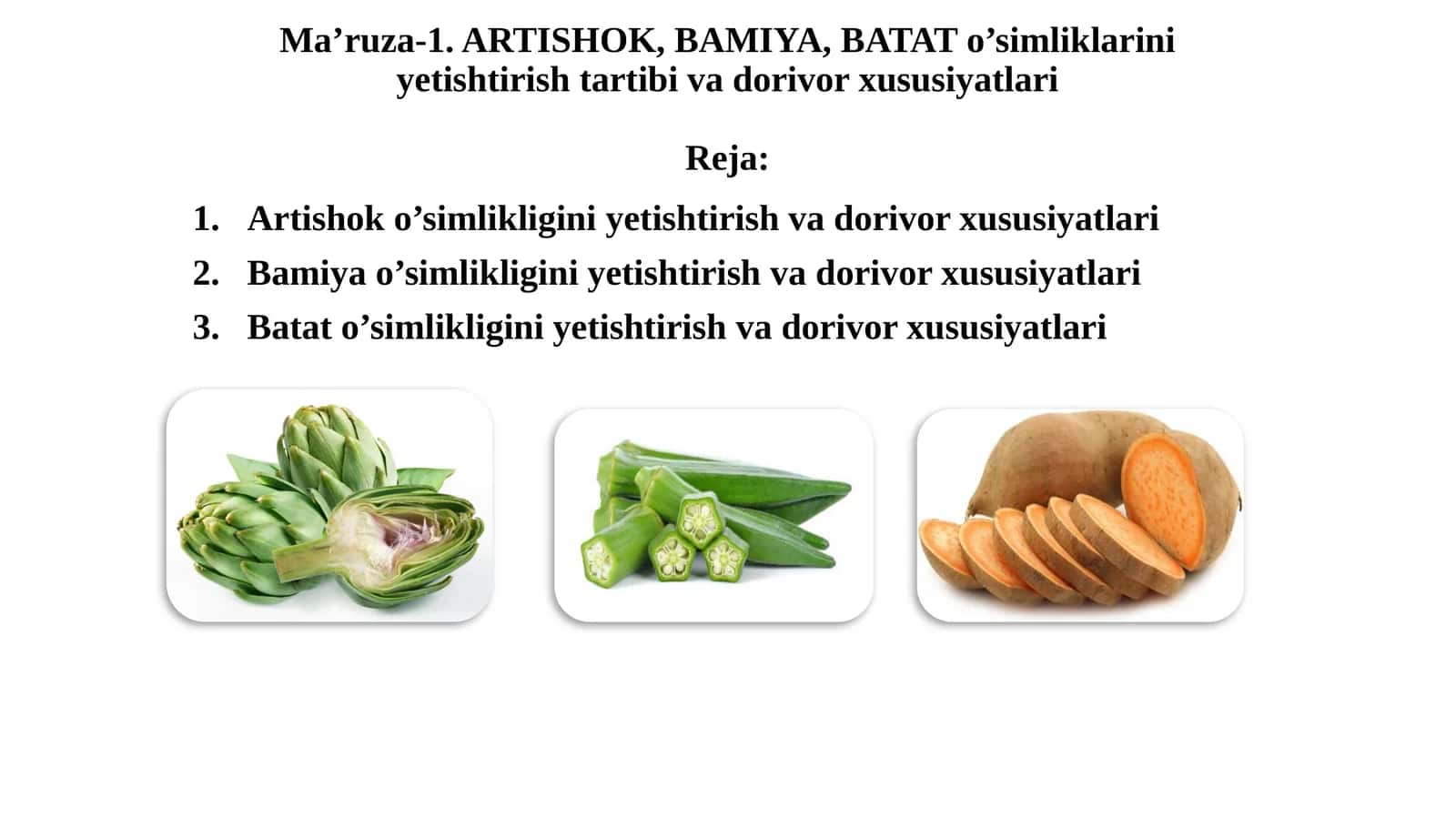 ARTISHOK, BAMIYA, BATAT o’simliklarini yetishtirish tartibi va dorivor xususiyatlari