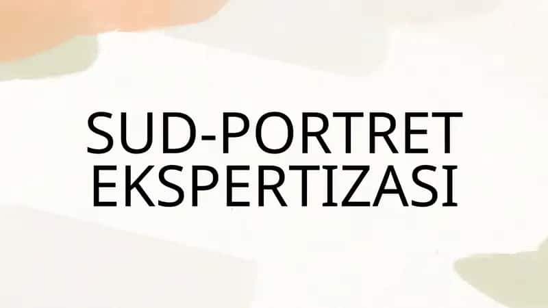 SUD-PORTRET EKSPERTIZASI