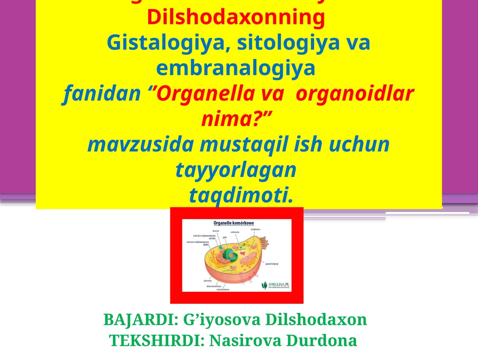 Organellalar va organoidlar