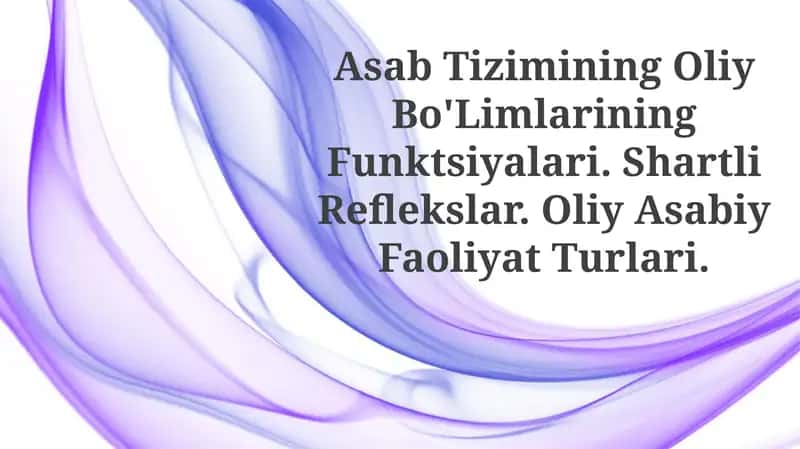Asab Tizimining Oliy Bo'Limlarining Funktsiyalari
