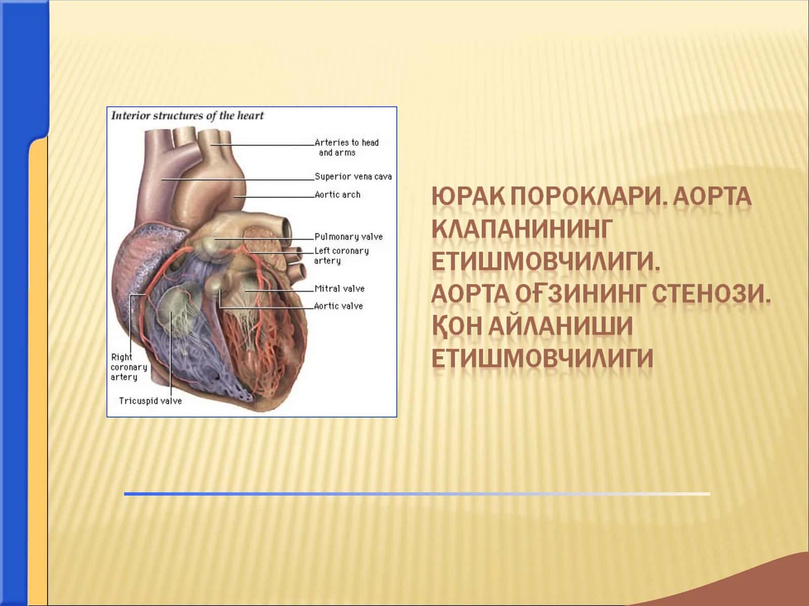 юрак пороклари