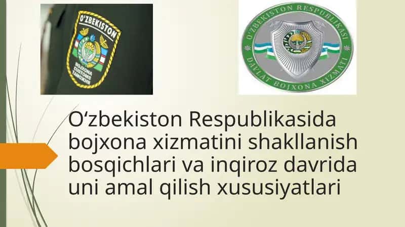 Organlari shakllanish bosqichlari va inqiroz davri