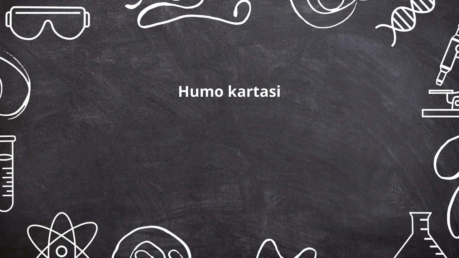 Humo kartasi