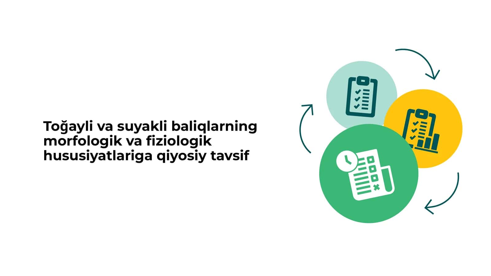 Toğayli va suyakli baliqlarning morfologik va fiziologik hususiyatlariga qiyosiy tavsif