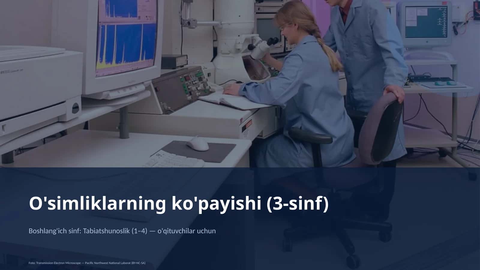 O'simliklarning ko'payishi (3-sinf)
