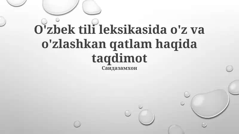 O'zbek tili leksikasi