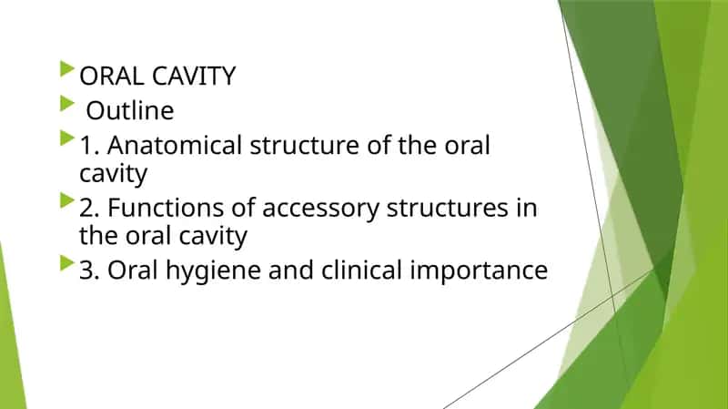 Anatomical structure of the oral cavity