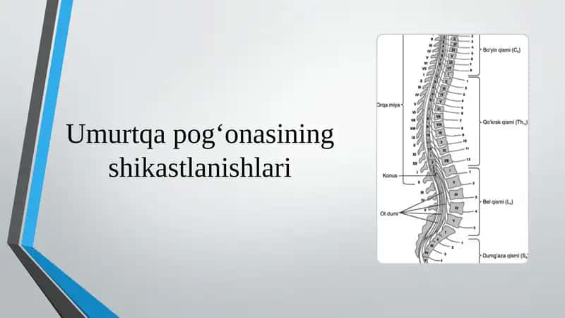 Umurtqa pog‘onasining shikastlanishlari
