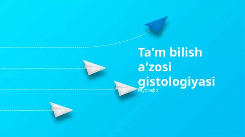 Ta'm bilish a'zosi gistologiyasi