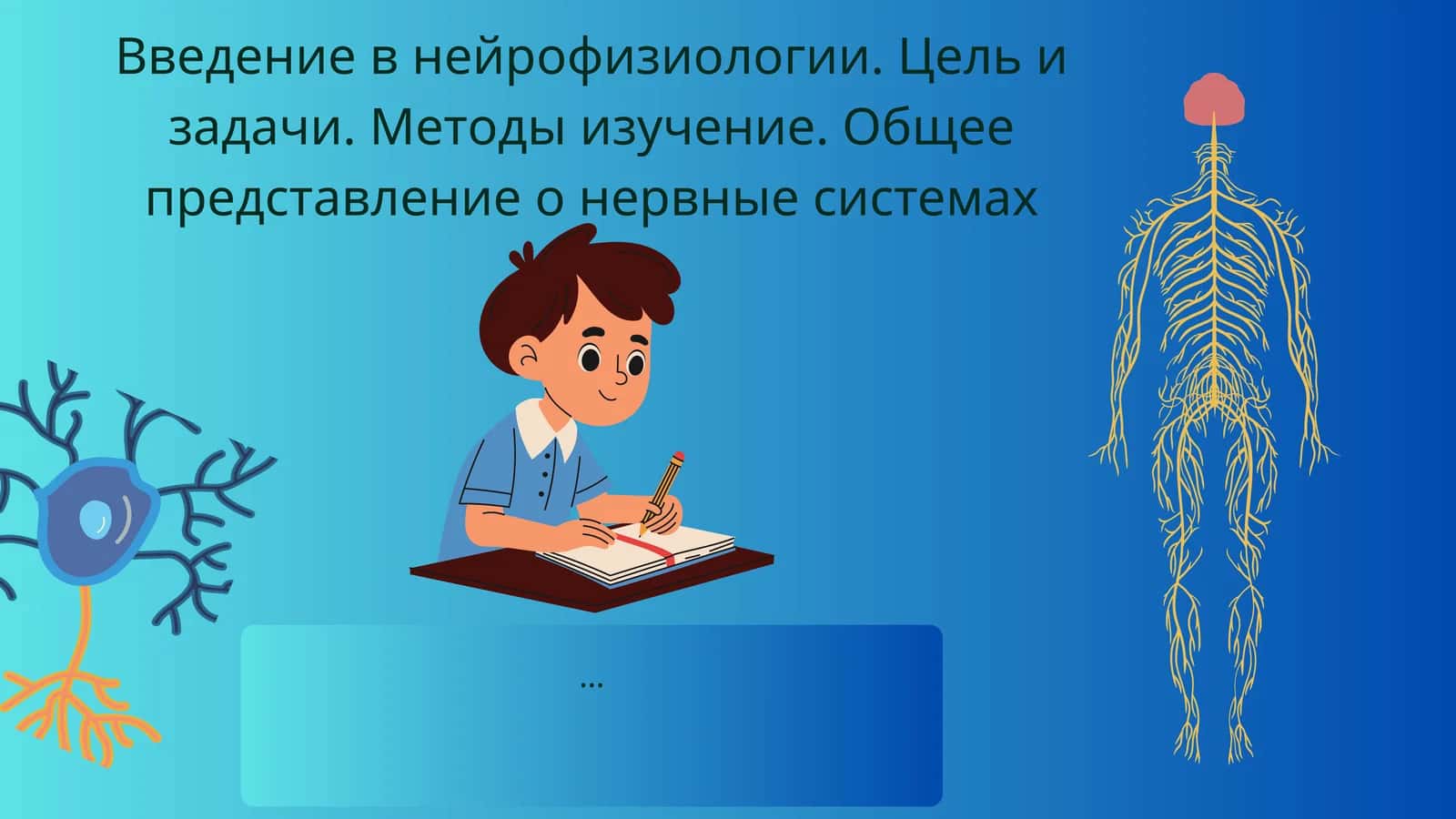 Введение в нейрофизиологии