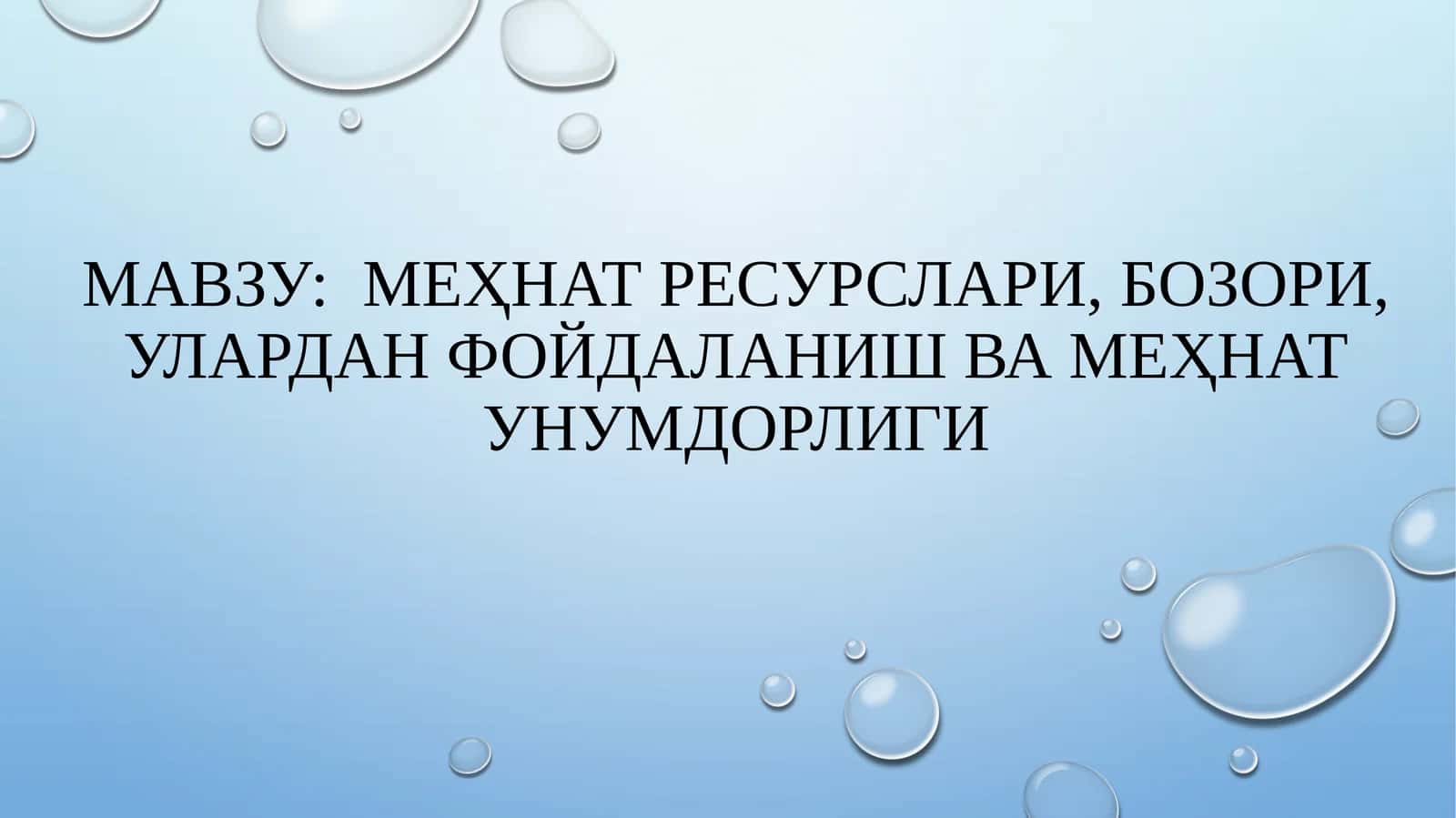 Меҳнат ресурслари, бозори, улардан фойдаланиш ва меҳнат унумдорлиги